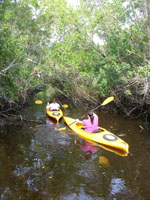 Kayaking at Eco Park